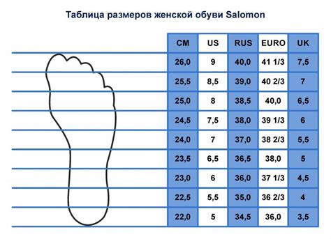 размерная сетка майкл корс обувь в см